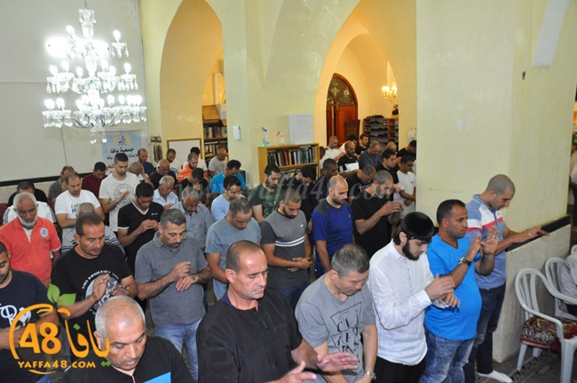 traw7 jabalayaua (15).JPG